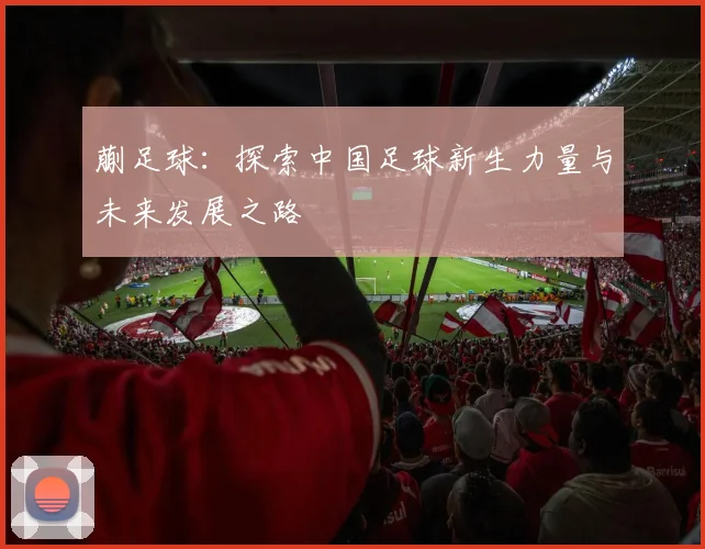 蒯足球：探索中国足球新生力量与未来发展之路
