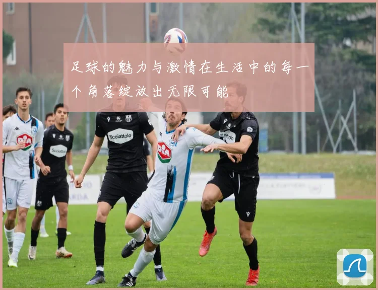 足球的魅力与激情在生活中的每一个角落绽放出无限可能