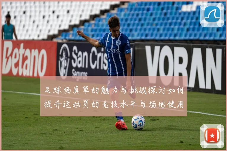 足球场真草的魅力与挑战探讨如何提升运动员的竞技水平与场地使用体验