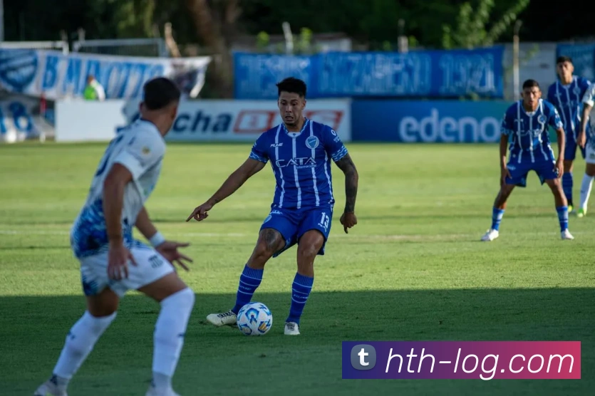 hth登陆入口平台生态图